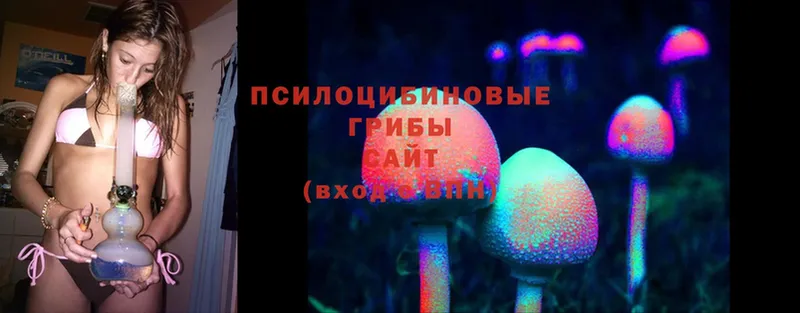 OMG как войти  Йошкар-Ола  Галлюциногенные грибы MAGIC MUSHROOMS 